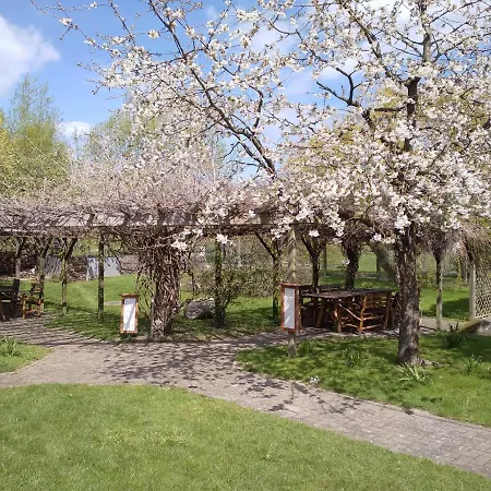 Restaurant Baumhaus Отель типа 