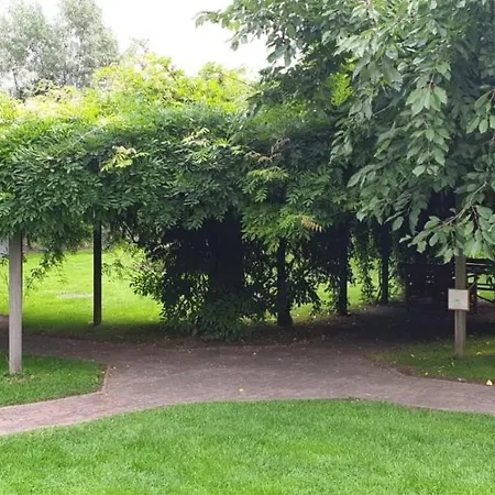 Restaurant Baumhaus 3*